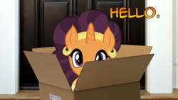 Size: 1366x768 | Tagged: safe, edit, saffron masala, pony, unicorn, g4, box, cute, female, irl, looking at you, mailbox, mare, photo, photomanipulation, ponies in real life, pony in a box, saffronbetes, solo