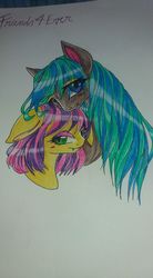 Size: 528x960 | Tagged: safe, oc, oc only, pony, traditional art