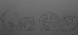 Size: 1267x576 | Tagged: artist needed, safe, fluttershy, oc, oc:floor bored, earth pony, pegasus, pony, g4, 4chan, floppy ears, frown, monochrome, prone, scared, shy, that pony sure is shy, traditional art