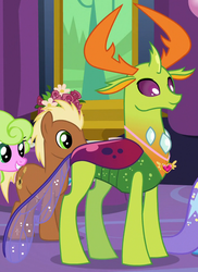 Size: 690x950 | Tagged: safe, screencap, daisy, flower wishes, meadow song, thorax, trixie, changedling, changeling, celestial advice, g4, cropped, equestrian pink heart of courage, king thorax, male, smiling