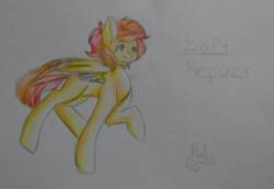 Size: 1114x768 | Tagged: safe, artist:mah521, oc, oc only, oc:soft pepper, pegasus, pony, female, mare, parent:spitfire, solo, traditional art