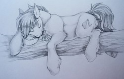 Size: 1280x814 | Tagged: safe, artist:rrusha, oc, oc only, pony, commission, male, sketch, sleeping, solo, traditional art