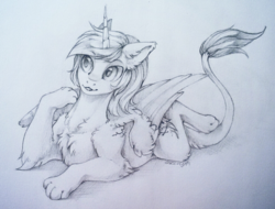 Size: 1280x975 | Tagged: safe, artist:rrusha, oc, oc only, oc:katya ironstead, sphinx, chest fluff, cute, fluffy, paws, sketch, solo, species swap, sphinx oc, sphinxified, traditional art