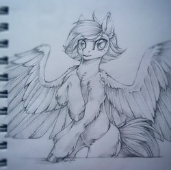 Size: 1280x1275 | Tagged: safe, artist:rrusha, oc, oc only, pony, commission, sketch, solo, traditional art