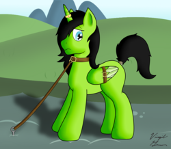 Size: 2262x1974 | Tagged: safe, artist:virgil green, oc, oc only, oc:virgil green, alicorn, pony, alicorn oc, belt, bondage, bound wings, collar, green, horn, horn ring, leash, magic suppression, male, pet, shadow, slave, solo, stallion, tether