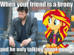 Size: 320x238 | Tagged: safe, sunset shimmer, equestria girls, g4, my little pony equestria girls: rainbow rocks, animated, bopping shimmer, brony, funny, gif, irl, keanu reeves, meme, photo, sad keanu