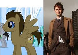 Size: 397x279 | Tagged: safe, doctor whooves, time turner, pegasus, pony, g4, comparison, david tennant, doctor who, irl, photo, screenshots, the doctor