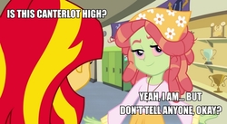 Size: 912x500 | Tagged: artist needed, source needed, safe, edit, sunset shimmer, tree hugger, equestria girls, g4, bloodshot eyes, canterlot high, drugs, equestria girls-ified, image macro, meme