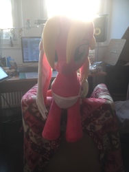 Size: 3264x2448 | Tagged: safe, artist:nazegoreng, oc, oc only, oc:starsweep sweetsky, pony, computer, fl studio, high res, irl, looking at you, photo, plushie, speaker, sunshine
