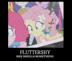 Size: 1008x856 | Tagged: safe, fluttershy, pinkie pie, rainbow dash, rarity, sci-twi, sunset shimmer, twilight sparkle, bird, equestria girls, g4, monday blues, my little pony equestria girls: summertime shorts, demotivational poster, geode of fauna, leaves, magical geodes, meme, nest, stick, toes