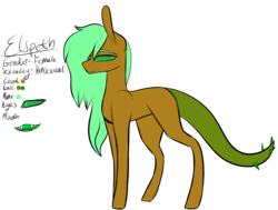 Size: 2389x1805 | Tagged: safe, artist:sweetmelon556, oc, oc only, oc:elspeth, original species, pony, female, reference sheet, simple background, solo, transparent background