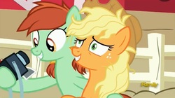 Size: 1662x932 | Tagged: safe, screencap, applejack, candy apples, pony, fame and misfortune, g4, apple family member, camera