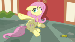 Size: 1920x1080 | Tagged: safe, screencap, fluttershy, pony, fame and misfortune, g4, discovery family logo, out of context, pointing