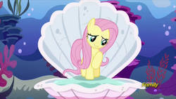Size: 914x514 | Tagged: safe, screencap, fluttershy, pegasus, pony, fame and misfortune, g4, bubble, clam, coral, cute, discovery family logo, female, flawless, mare, ocean, pun, raised hoof, seashell, seaweed, shell, shyabetes, solo, the birth of venus, underwater, visual pun, water