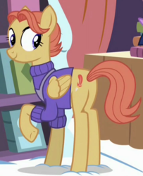 Size: 713x878 | Tagged: safe, screencap, amber ink, pegasus, pony, fame and misfortune, g4, bookseller, butt, clothes, cropped, cute, female, looking back, mare, plot, raised hoof, smiling, solo, sweater, underhoof