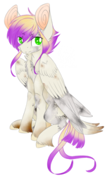 Size: 1084x1700 | Tagged: safe, artist:emypony, oc, oc only, oc:callum, pegasus, pony, markings, offspring