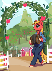 Size: 1613x2177 | Tagged: safe, artist:lunebat, big macintosh, earth pony, anthro, semi-anthro, unguligrade anthro, g4, accordion, arm hooves, male, musical instrument, stallion, standing, straw in mouth, sweet apple acres, unshorn fetlocks