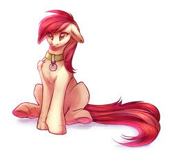 Size: 891x807 | Tagged: safe, artist:rrusha, roseluck, earth pony, pony, g4, chest fluff, collar, commissioner:doom9454, digital art, ear fluff, female, floppy ears, fluffy, leg fluff, mare, pet tag, pony pet, rosepet, simple background, sitting, solo, underhoof, white background