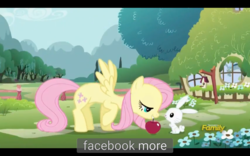 Size: 1920x1200 | Tagged: safe, screencap, angel bunny, fluttershy, fame and misfortune, g4, discovery family logo, facebook, meme, youtube caption