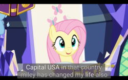 Size: 1920x1200 | Tagged: safe, edit, edited screencap, screencap, fluttershy, pegasus, pony, fame and misfortune, g4, book, caption, female, mare, meme, solo, washington d.c., youtube caption