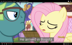 Size: 1920x1200 | Tagged: safe, screencap, bigger jim, fluttershy, plunkett, pony, fame and misfortune, g4, colombia, discovery family logo, meme, youtube caption