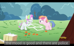 Size: 1920x1200 | Tagged: safe, screencap, coconut cream, toola roola, pony, fame and misfortune, g4, meme, youtube caption