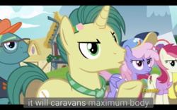 Size: 1920x1200 | Tagged: safe, screencap, bigger jim, dandy dispatch, lemon hearts, plunkett, rainbowshine, roseluck, earth pony, pegasus, pony, unicorn, fame and misfortune, g4, female, male, mare, meme, stallion, youtube caption