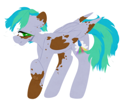 Size: 1024x835 | Tagged: safe, artist:alliedrawsart, oc, oc only, oc:cirrus fever, pegasus, pony, male, simple background, solo, stallion, transparent background