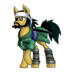 Size: 1500x1500 | Tagged: safe, artist:theomegaridley, oc, oc only, earth pony, pony, clothes, eyepatch, katana, male, pirate, samurai, simple background, stallion, sword, transparent background, weapon