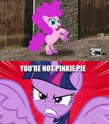 Size: 1364x1558 | Tagged: safe, pinkie pie, twilight sparkle, alicorn, pony, g4, angry, cartoon network logo, impostor, mad (tv series), mad magazine, meme, my little war horse, not pinkie pie, twilight sparkle (alicorn)