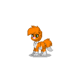 Size: 400x400 | Tagged: safe, cat, pony, pony town, crossover, furry, house of magic, simple background, solo, thunder (house of magic), thunder and the house of magic, transparent background