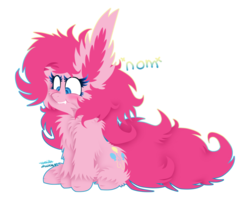 Size: 1024x819 | Tagged: safe, artist:vanillaswirl6, part of a set, pinkie pie, earth pony, pony, g4, big ears, biting, cheek fluff, chest fluff, colored pupils, cute, ear bite, ear fluff, female, impossibly large ears, mare, nom, ponk, scrunchy face, shoulder fluff, simple background, sitting, solo, transparent background, unshorn fetlocks