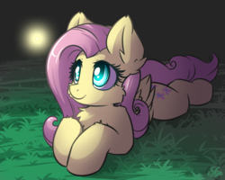 Size: 1125x900 | Tagged: safe, artist:sapphfyr, fluttershy, firefly (insect), pony, g4, chest fluff, cute, female, folded wings, grass, looking at something, looking up, mare, night, prone, shyabetes, solo