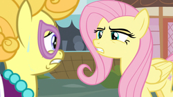 Size: 1920x1080 | Tagged: safe, screencap, fluttershy, lemon chiffon, pony, fame and misfortune, g4, angry, annoyed, assertive, assertive fluttershy, duo, fanpony, fluttershy is not amused, fourth wall, glasses, larson you magnificent bastard, m.a. larson, meta, peeved, scared, sweat, unamused
