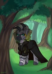 Size: 2353x3362 | Tagged: safe, zecora, pony, zebra, g4, chains, cloak, clothes, crossover, ear piercing, female, forest, high res, mare, piercing, ponified, pyre(game), solo, volfred sandalwood