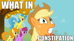 Size: 888x499 | Tagged: safe, applejack, berry punch, berryshine, carrot cake, carrot top, golden harvest, lemon hearts, earth pony, pony, g4, applejack is best facemaker, constipated, cute, cutie top, image macro, lemonbetes, meme, reaction image, what in tarnation