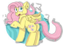 Size: 2732x2048 | Tagged: safe, artist:peanutcat62, fluttershy, pegasus, pony, g4, butt, chest fluff, ear fluff, female, high res, looking back, mare, plot, raised hoof, simple background, solo, transparent background