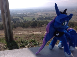 Size: 2592x1936 | Tagged: safe, artist:didgereethebrony, princess luna, pony, g4, australia, bathurst, irl, panromantic, photo, plushie, race track, solo