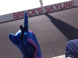 Size: 2592x1936 | Tagged: safe, artist:didgereethebrony, princess luna, pony, g4, australia, bathurst, brock, irl, photo, plushie, race track, solo