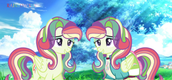 Size: 1024x479 | Tagged: safe, artist:shinybrony, fluttershy, rainbow dash, pony, g4, clothes, fusion