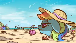 Size: 640x360 | Tagged: safe, artist:pirill, rainbow dash, crab, pegasus, pony, g4, atg 2017, beach, equestria daily exclusive, female, hat, newbie artist training grounds, solo