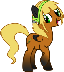 Size: 5010x5630 | Tagged: safe, artist:xboomdiersx, oc, oc only, oc:willow nymph, pegasus, pony, absurd resolution, female, mare, simple background, solo, transparent background, vector