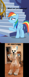Size: 500x1288 | Tagged: safe, screencap, rainbow dash, human, fame and misfortune, g4, fursuit, irl, irl human, narrowed eyes, photo, text