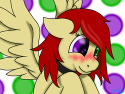 Size: 800x600 | Tagged: safe, artist:sterlingarc, oc, oc only, pegasus, pony, blushing, polka dots, red hair