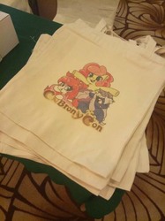 Size: 500x667 | Tagged: safe, oc, oc only, pony, bronycon, bag, china ponycon, irl, photo