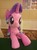 Size: 500x667 | Tagged: safe, artist:nekokevin, starlight glimmer, pony, unicorn, series:nekokevin's glimmy, g4, china ponycon, irl, life size, photo, plushie