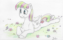 Size: 1683x1081 | Tagged: safe, artist:silfoe, blossomforth, pegasus, pony, g4, :t, adoraforth, commission, cute, female, flower, grass, looking at something, mare, prone, smiling, solo, sploot, traditional art, underhoof, wing fluff