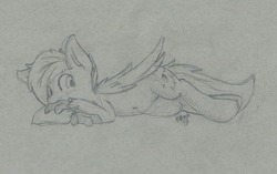 Size: 1280x804 | Tagged: safe, artist:kitbash, oc, oc only, oc:neutrino burst, hippogriff, cute, lying down, relaxing, sketch