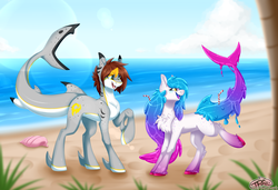 Size: 3500x2400 | Tagged: safe, artist:pinktabico, oc, oc only, goo pony, original species, pony, shark pony, beach, fangs, female, high res, looking back, male, mare, smiling, stallion, water