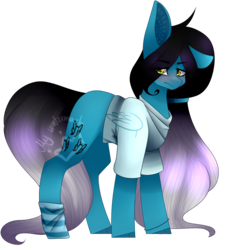 Size: 1202x1336 | Tagged: safe, artist:alithecat1989, oc, oc only, oc:despy, earth pony, pony, clothes, female, mare, shirt, simple background, solo, transparent background